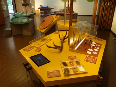 Ausstellung_spuren