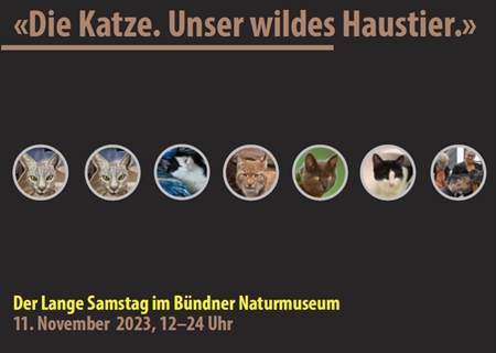 Langer Samstag