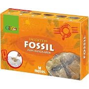https://naturmuseum.gr.ch/de/besuch/FotosSammlungsShop/moses-60023-geolino-insekten-fossil.jpg